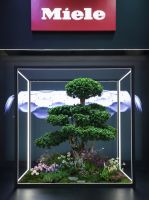 德国美诺千平大展亮相 AWE 中国家电博览会 首日全记录智境开启 明日可续