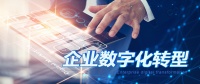 把握时代风口 企业数字化破圈