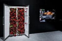 AEG惊艳亮相2023AWE：质感美学科技生活，颠覆传统引领未来