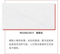 产品推介 | 能强900×1800mm现代瓷砖，打造广美视界