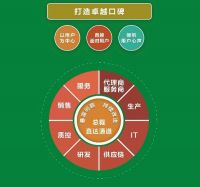 总裁敢为先 “智慧+创新”淬炼品牌专业能力