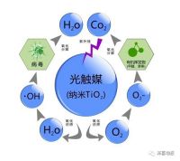 借力光触媒，泽喜地板新三层抗菌地板这样练成