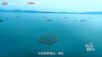 对话联塑丨挖掘联塑管道智慧力量，激活乡村振兴新动能