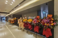 岩下生辉·丰享奢居 | 德利丰岩板南京旗舰店开业典礼圆满举行
