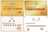 中国板材与定制家居大会，鹏鸿揽获5项荣誉