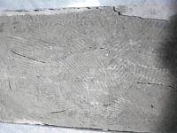 真的，别再用“瓷砖胶+水泥”贴砖
