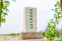 万人成林 海信中央空调兑现“健康南山跑”承诺！