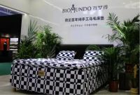 疫情过后,欧洲著名马尾毛床垫品牌登录中国