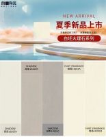 质感砖赛道的NO.1！朗一瓷砖荣获2023年度单品冠军品牌