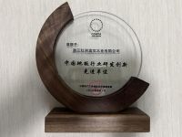 锚定科学智造 红利地板荣获“中国地板行业研发创新先进单位”