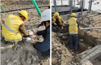 华艺照明参与杭州亚运会灯光照明建设 智能和节能成最大亮点