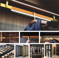 荣耀时刻 I 金莱雅&班鲁格双双斩获”2023首选供应链品牌”大奖