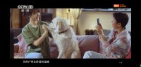 中广欧特斯再登央视！大国品牌之《中广热泵空调》正在CCTV-1热播