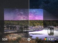 搭载独家神经元量子点处理器 三星QN85Z新品电视火热开售