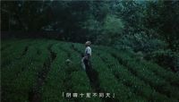 享受一场雨眠吧,梦中没有风雨,唯有属于中国人的睡眠智慧