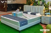 穗宝集团2023秋季再启程，以深睡科技执领时代浪潮