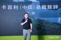 净醛艺术漆问世，解码卡百利高端墙面定制服务新赛道
