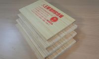 伟业牌阻燃板入选“2023年阻燃板十大品牌”