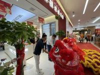【深耕区域 趁势起航】维朗迪迪门窗沈阳第三品牌旗舰店启幕