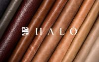 以原生力量打造差异化竞争优势，HALO光环家居亮相中国家博会（上海）