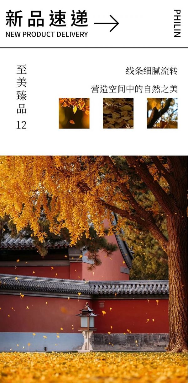 新浪精选：领绣——至美臻品12