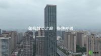 板管家板材全新宣传片震撼发布：开启无醛新时代 引领绿色新未来