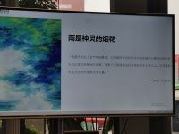 行业观察I这届陶博会释放不被定义的趋势，是中国建陶理性回归的缩影呈现