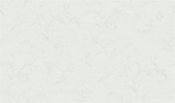【领绣菁华】线条与卷草纹的完美融合，打造别具一格的生活空间