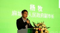 设计之外｜大宅设计论坛圆满完成