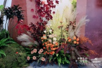 尚层年度回馈专场丨打造沉浸式体验馆，编织美好生活新生态