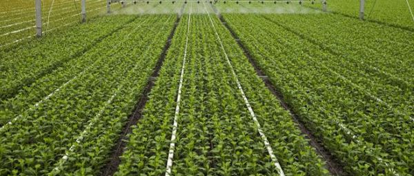 锚定农业强国目标，联塑PVC-U农业专用管提供坚强支撑