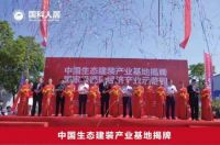 郭叶子绿色建筑助力乡村振兴 实现共同富裕目标