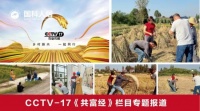 郭叶子绿色建筑助力乡村振兴 实现共同富裕目标