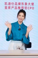 Kaadas凯迪仕双11全网畅销，央视采访报道，创始人苏志勇与明星刘涛同框直播首秀