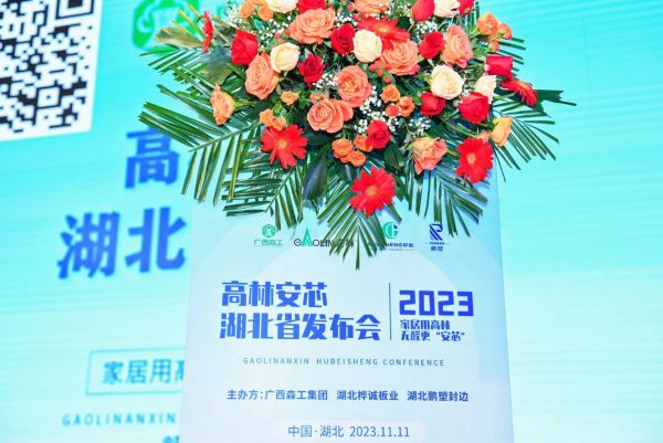 家居用高林，无醛更“安芯”|”高林安芯“湖北省发布会圆满举行