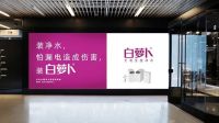 白萝卜无电全屋净水品牌创始人陈盟仁荣获中外友好与文化宣传大使称号