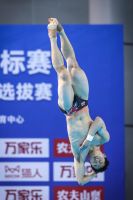 跳水全锦赛首日双金出炉！万家乐携手梦之队精彩亮相