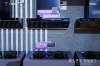 欧睿国际：海尔是全球大型厨电领导者，销量超千万台