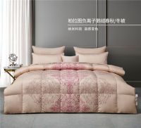 跨界融合丨纳米科技赋能鹅绒被，让睡眠更健康舒适