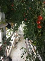 “雪龙2”号和 “天惠”轮结伴破冰航行,四季沐歌空气能在南极温暖守护