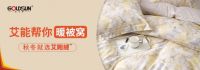 金太阳超级IP艾能节成功火出圈