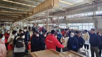 霍尔茨再次打造工厂购活动，实现触手可及的德系精工