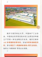 载誉逐程｜福庆木业荣获2023年江苏省专精特新“小巨人”企业称号