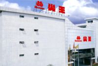 火王匠心，31年的品牌发展之路