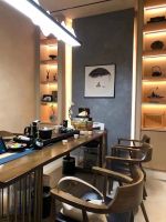 德国MT艺术涂料，涂料天花板！