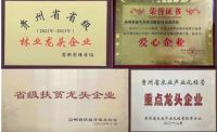 十载风华结硕果 风劲帆满向未来——霖生木业成立十周年