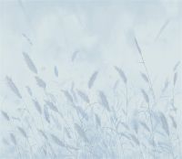 【领绣菁华】宁静与舒适的邂逅，追寻自然与人文的完美结合