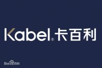 中国艺术涂料协会2024年国产艺术涂料十大品牌