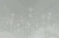 【领绣菁华】薄雾缭绕，花蔓起舞，诉说着自然的灵动之美