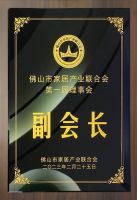 春运流量赋能！法迪奥与「有家就有佛山造」产业IP广告刷屏五大城市高铁站_
